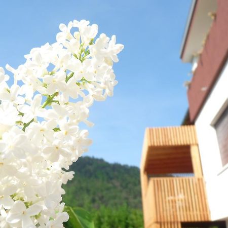 B&B Casa Sul Lago - Appartamenti Calceranica al Lago Habitación foto