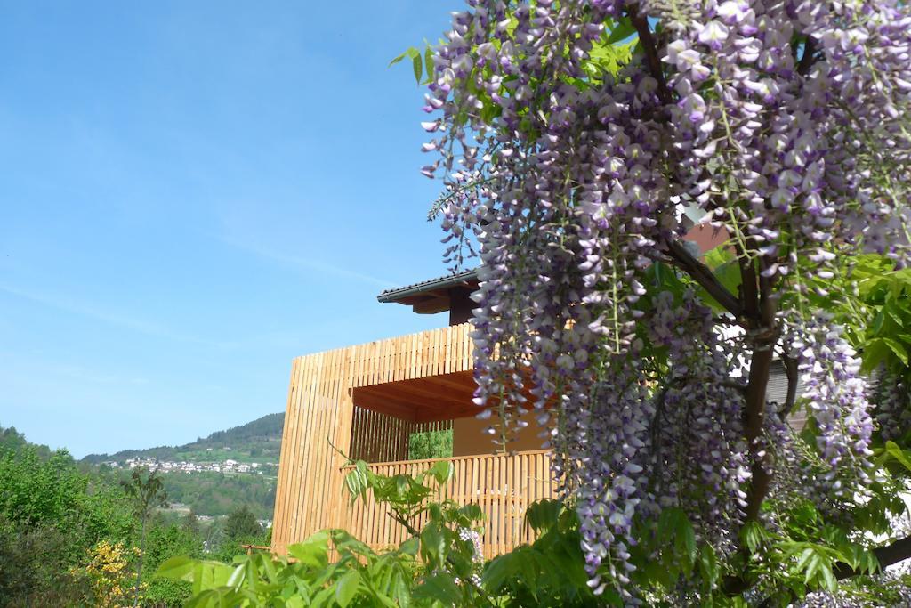 B&B Casa Sul Lago - Appartamenti Calceranica al Lago Exterior foto